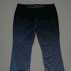 Laurie Felt Silky Baby Bell Vital Stretch Jeans Women's 2XP Dark Wash Boot Cut